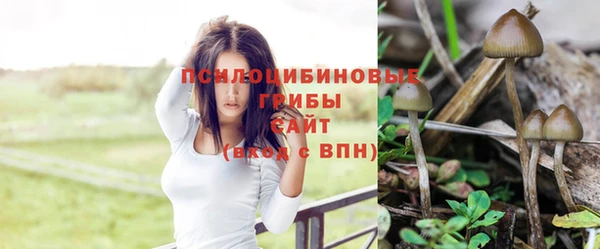 метадон Нефтекумск