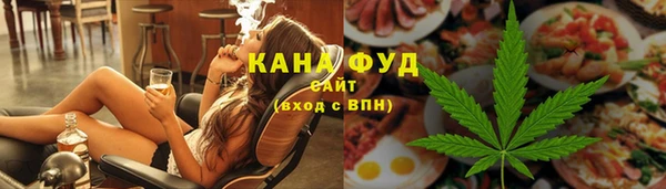 гидра Каменногорск