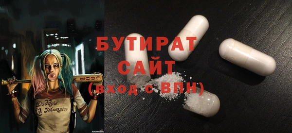 гидра Каменногорск